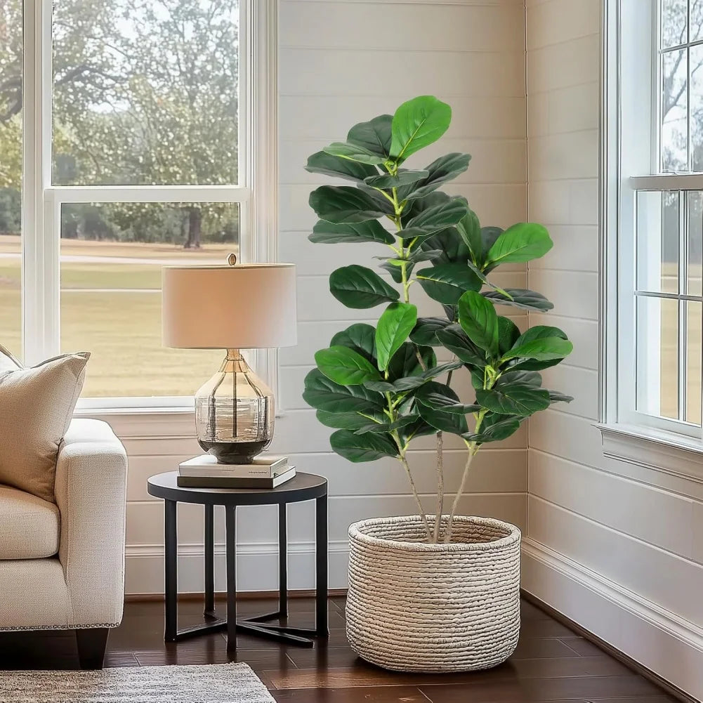 Fiddle Leaf Fig Tree