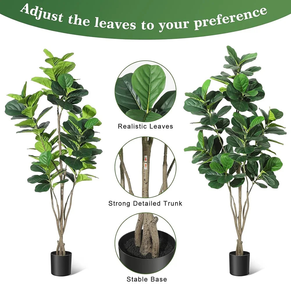 Fiddle Leaf Fig Tree