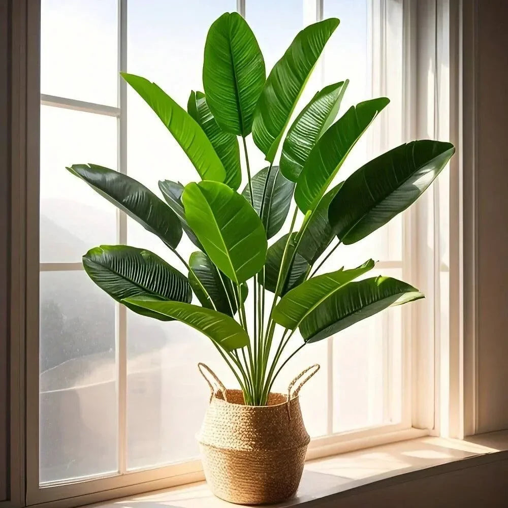 Tropical Palm Tree