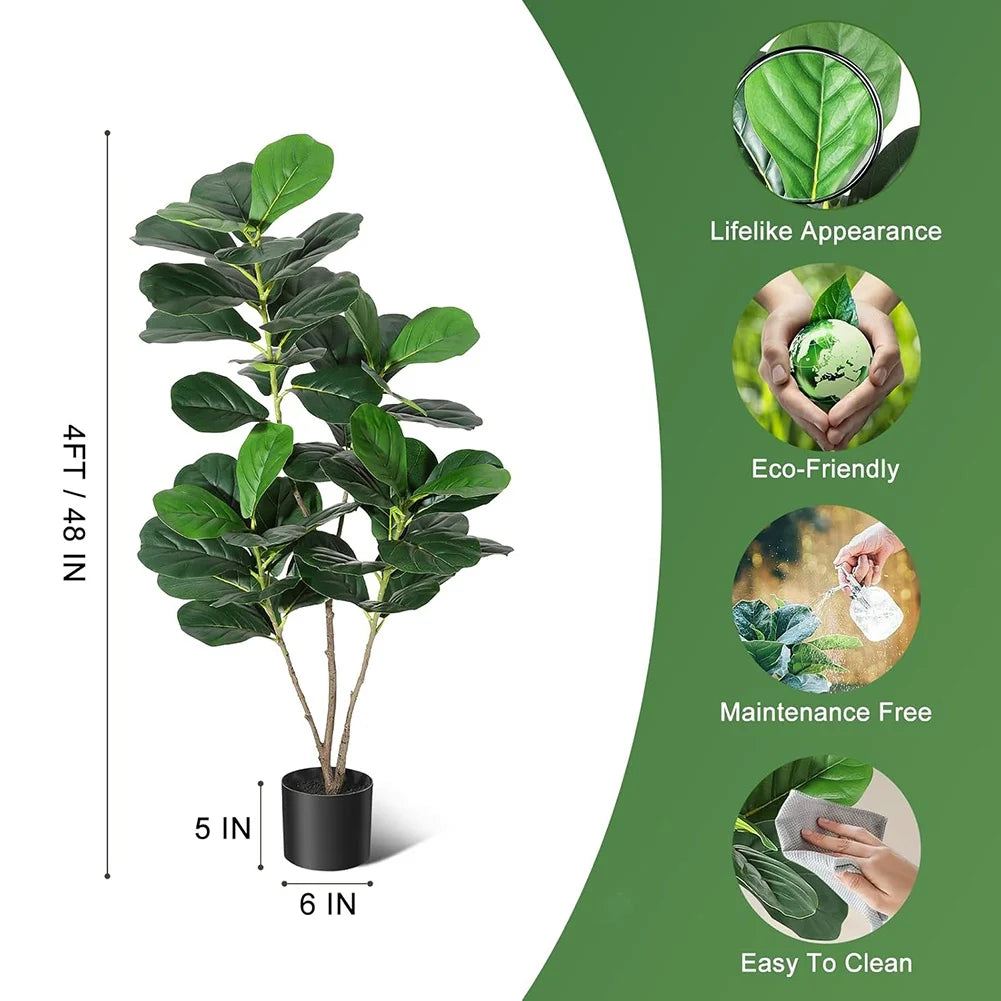 Fiddle Leaf Fig Tree