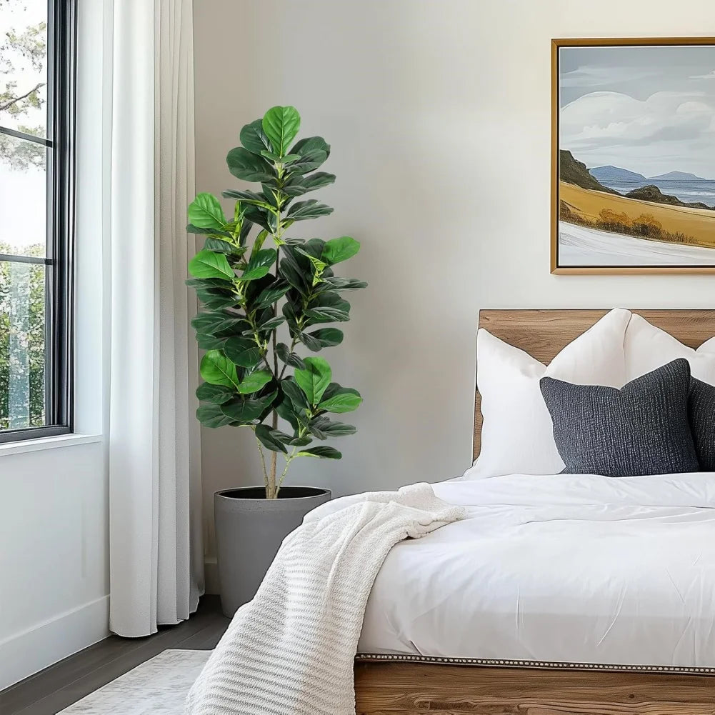 Fiddle Leaf Fig Tree