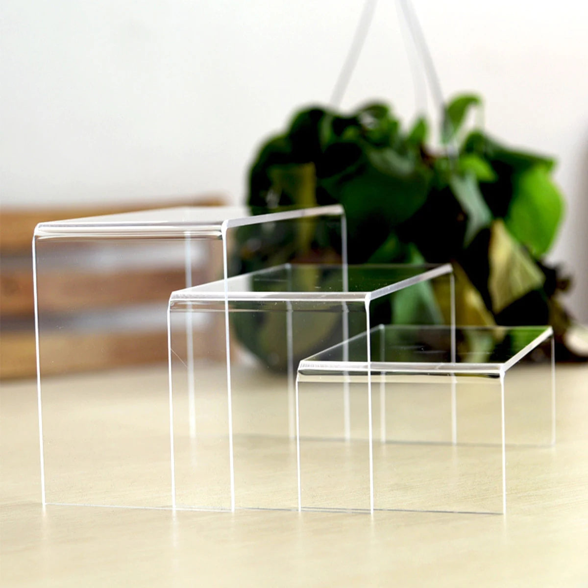 Acrylic Display Stand