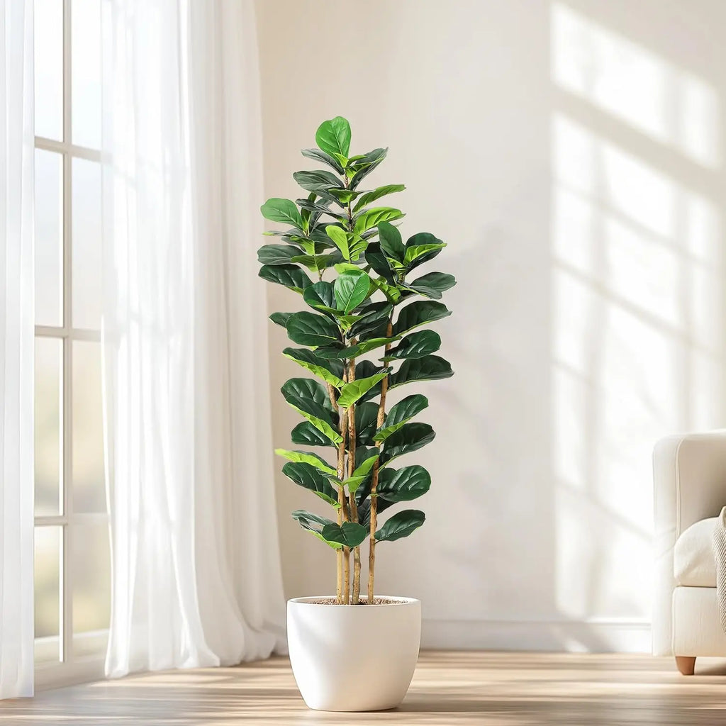 Fiddle Leaf Fig Tree