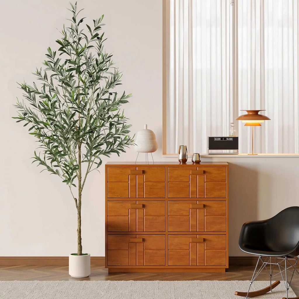 Olive Tree
