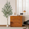 Olive Tree