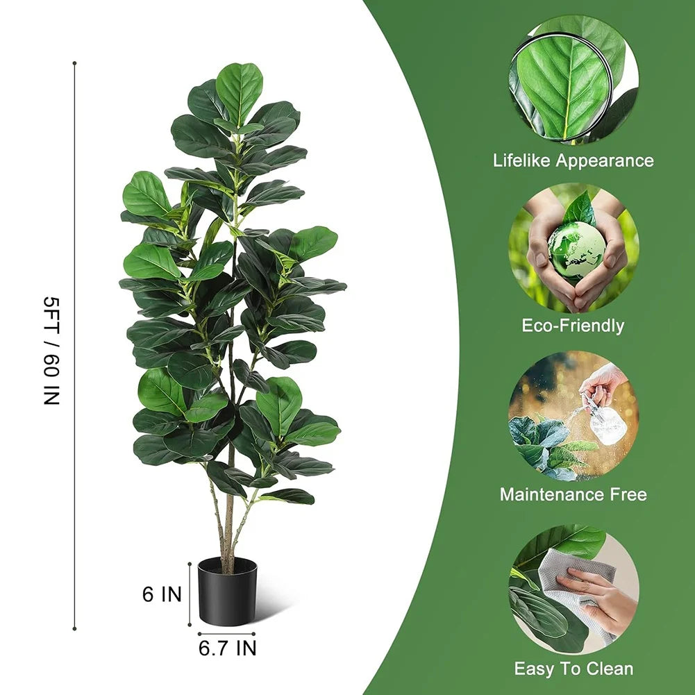 Fiddle Leaf Fig Tree