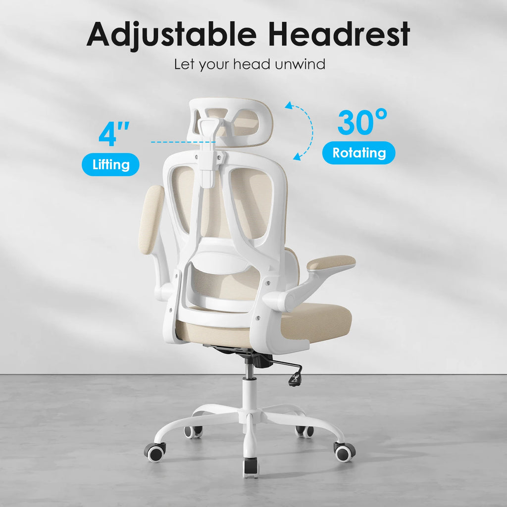Ergonomic Office Chair