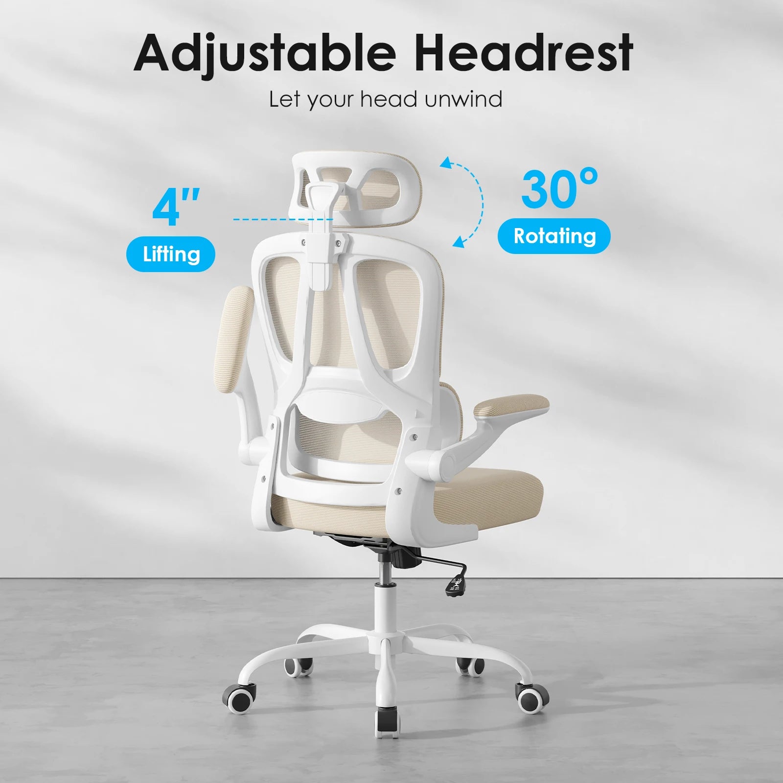 Ergonomic Office Chair
