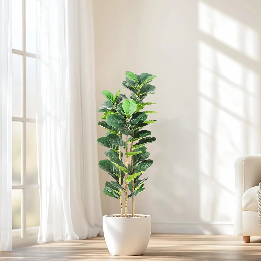 Fiddle Leaf Fig Tree
