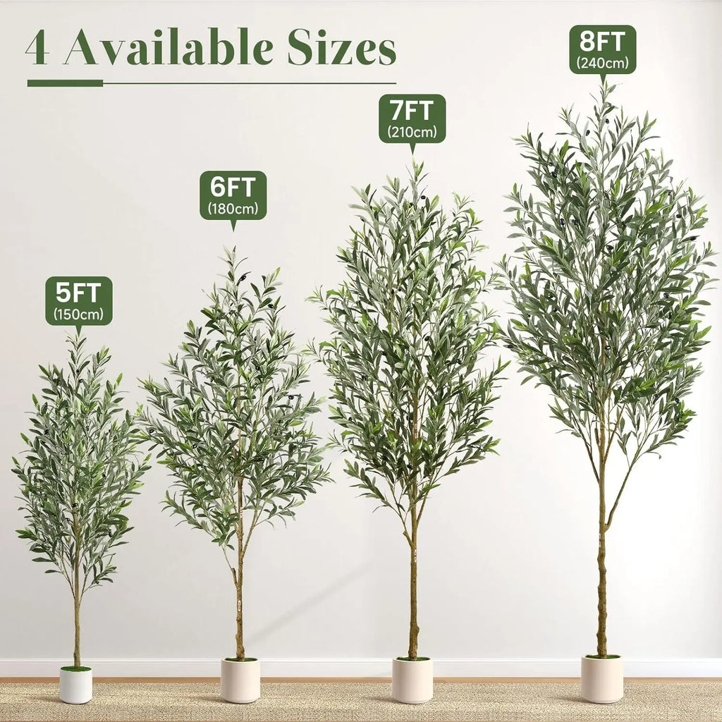Olive Tree