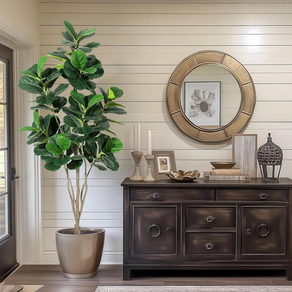 Fiddle Leaf Fig Tree