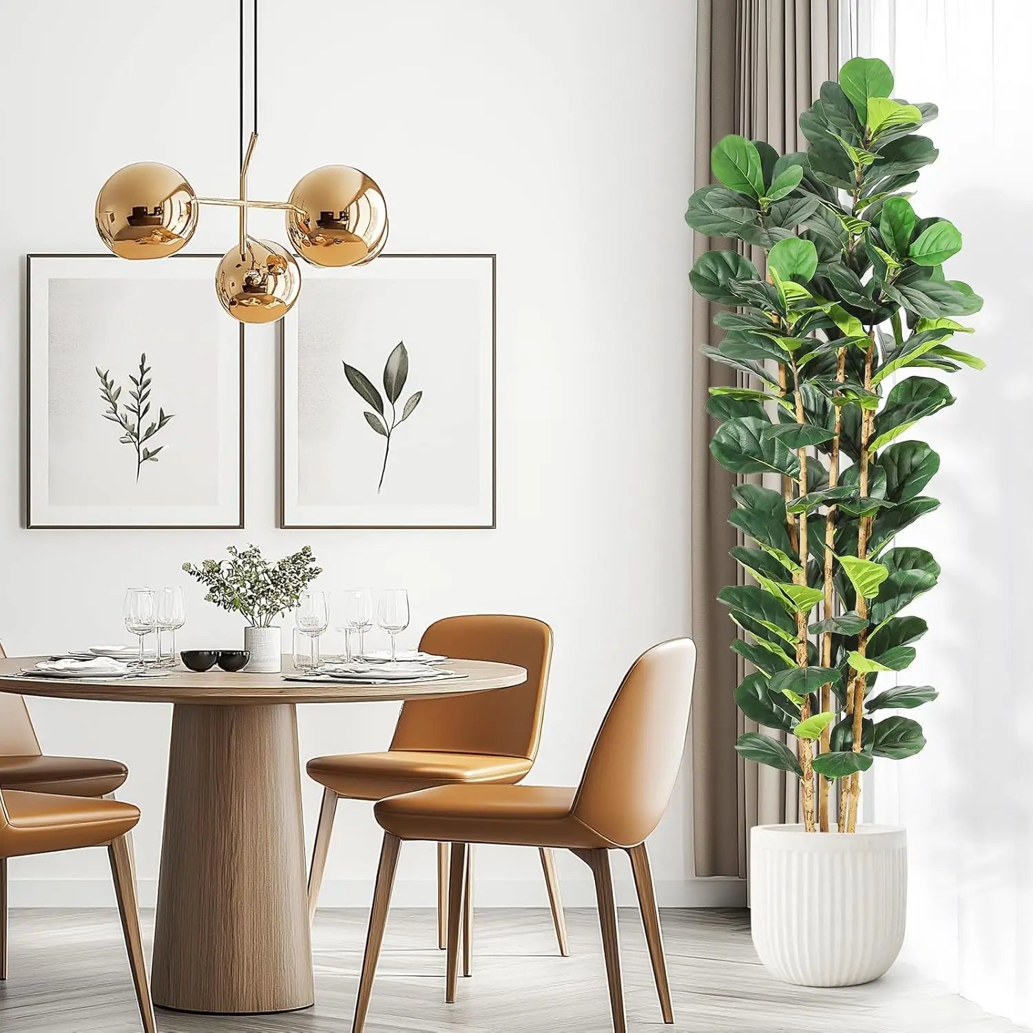 Fiddle Leaf Fig Tree