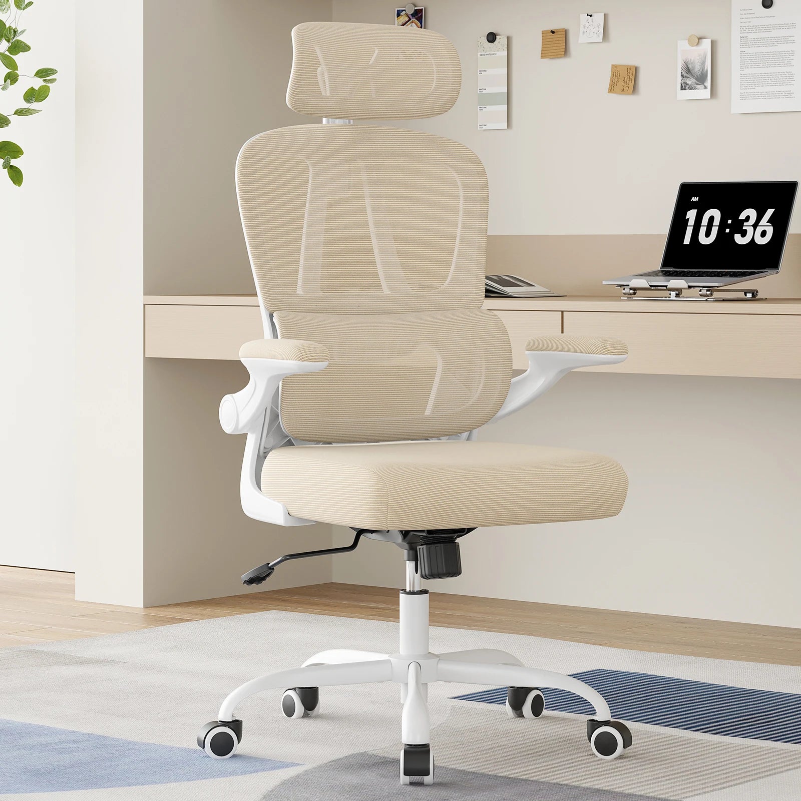 Ergonomic Office Chair