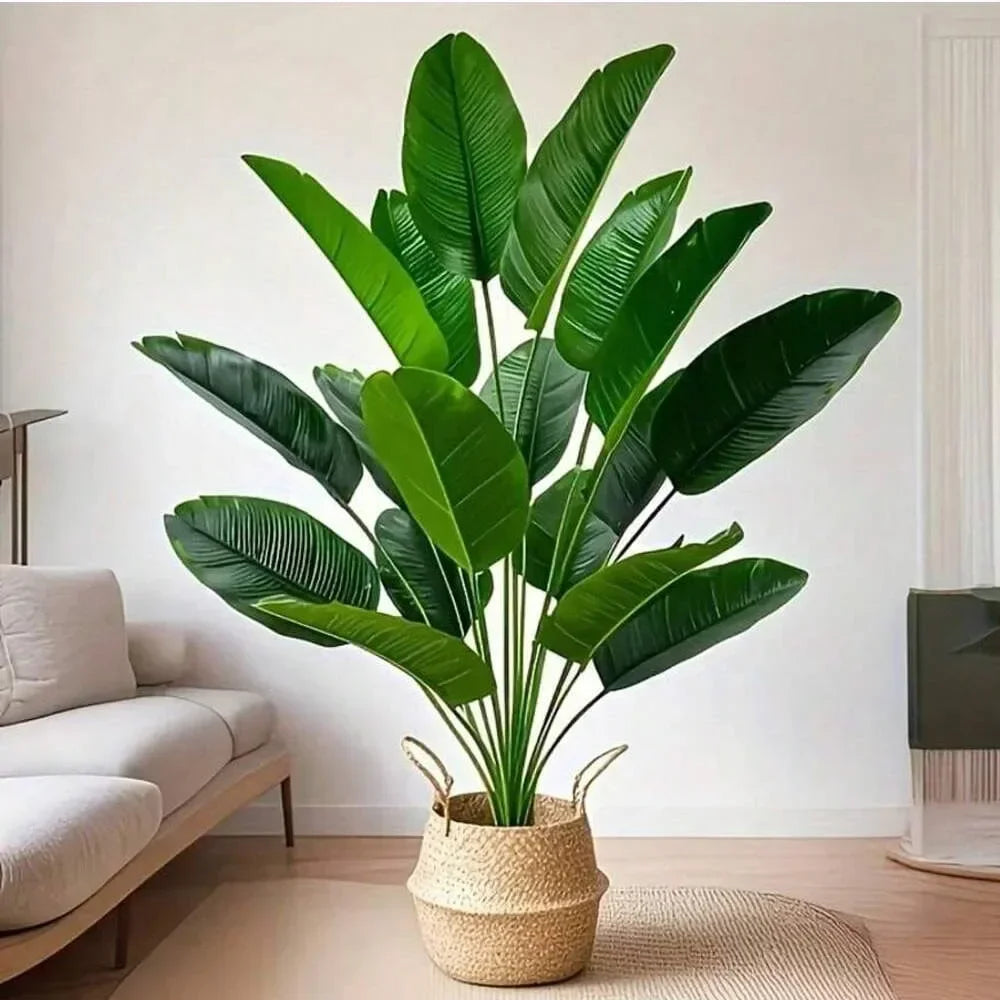 Tropical Palm Tree