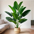Tropical Palm Tree