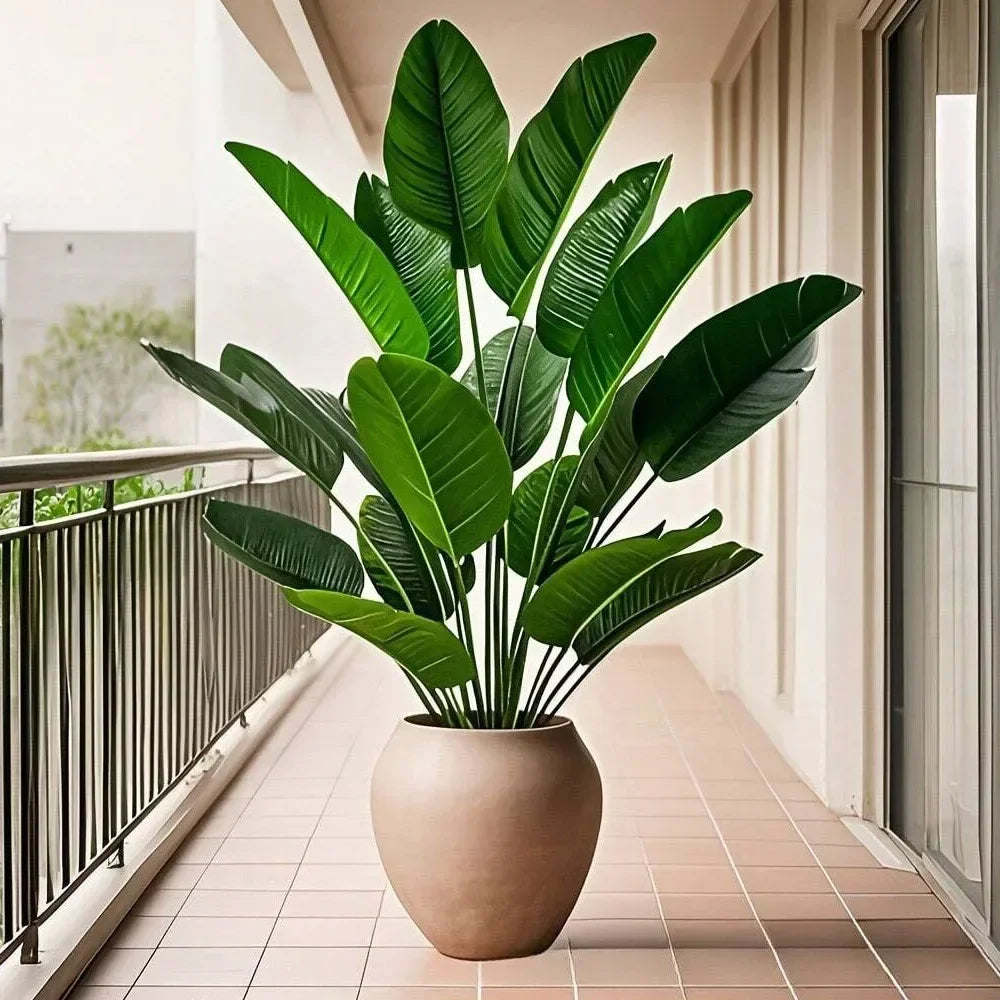 Tropical Palm Tree
