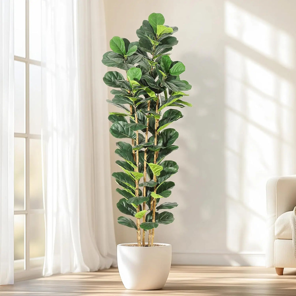 Fiddle Leaf Fig Tree