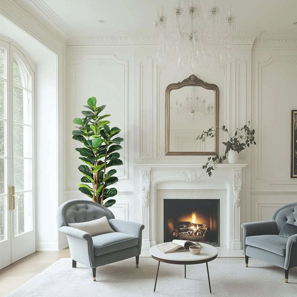 Fiddle Leaf Fig Tree
