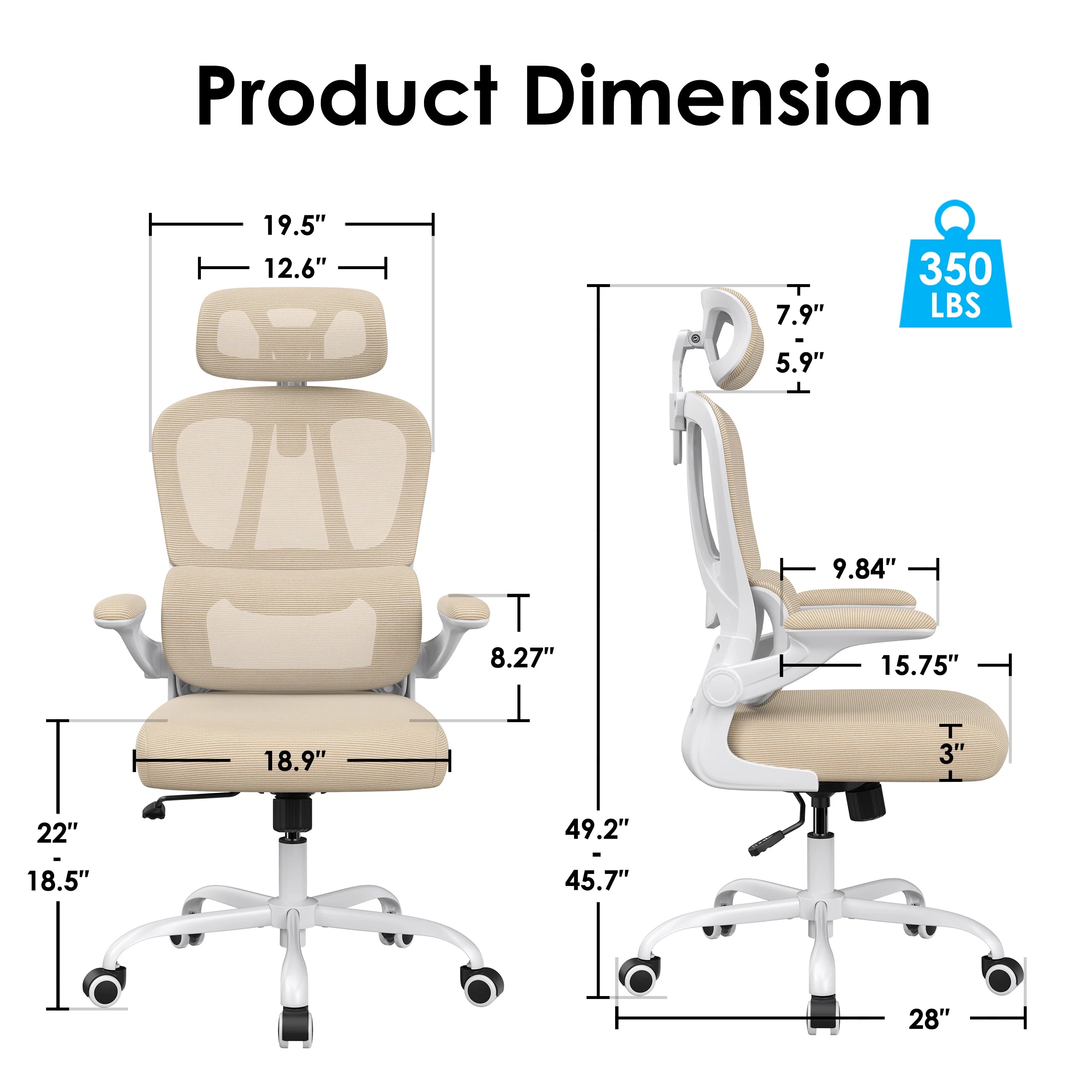 Ergonomic Office Chair