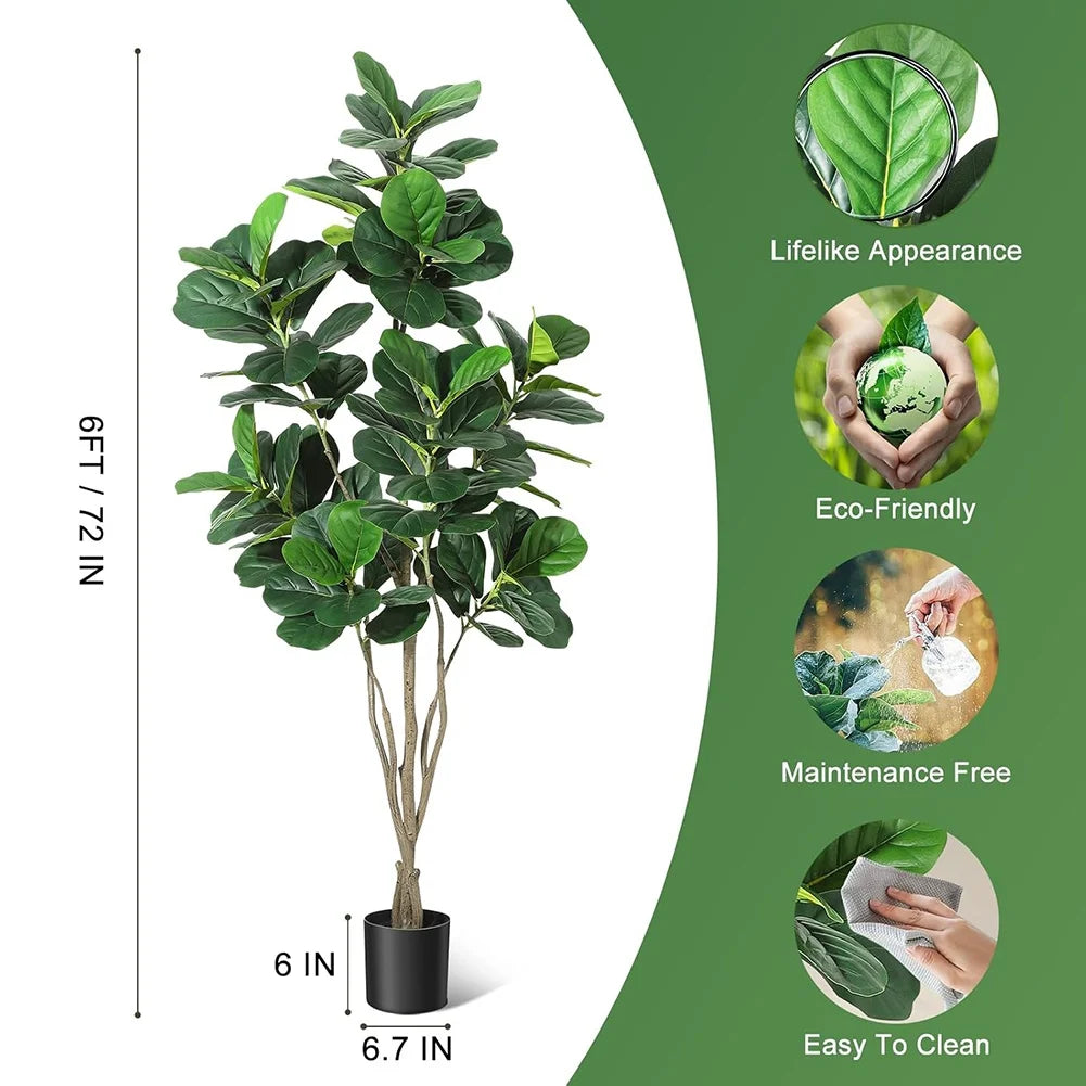 Fiddle Leaf Fig Tree